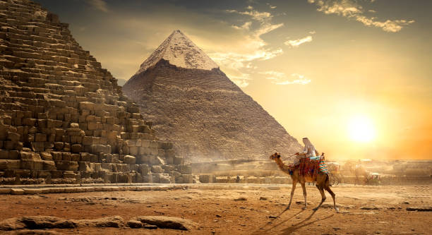 Nomad on camel near pyramids in egyptian desert - Composite image